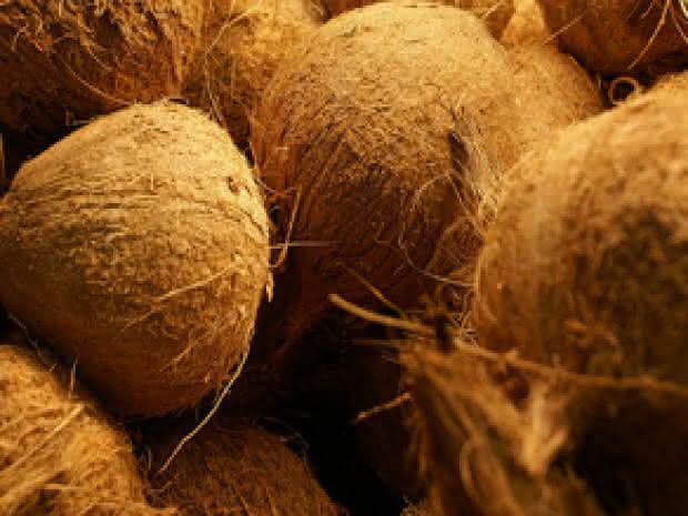 ¿Qué es la fibra de coco?